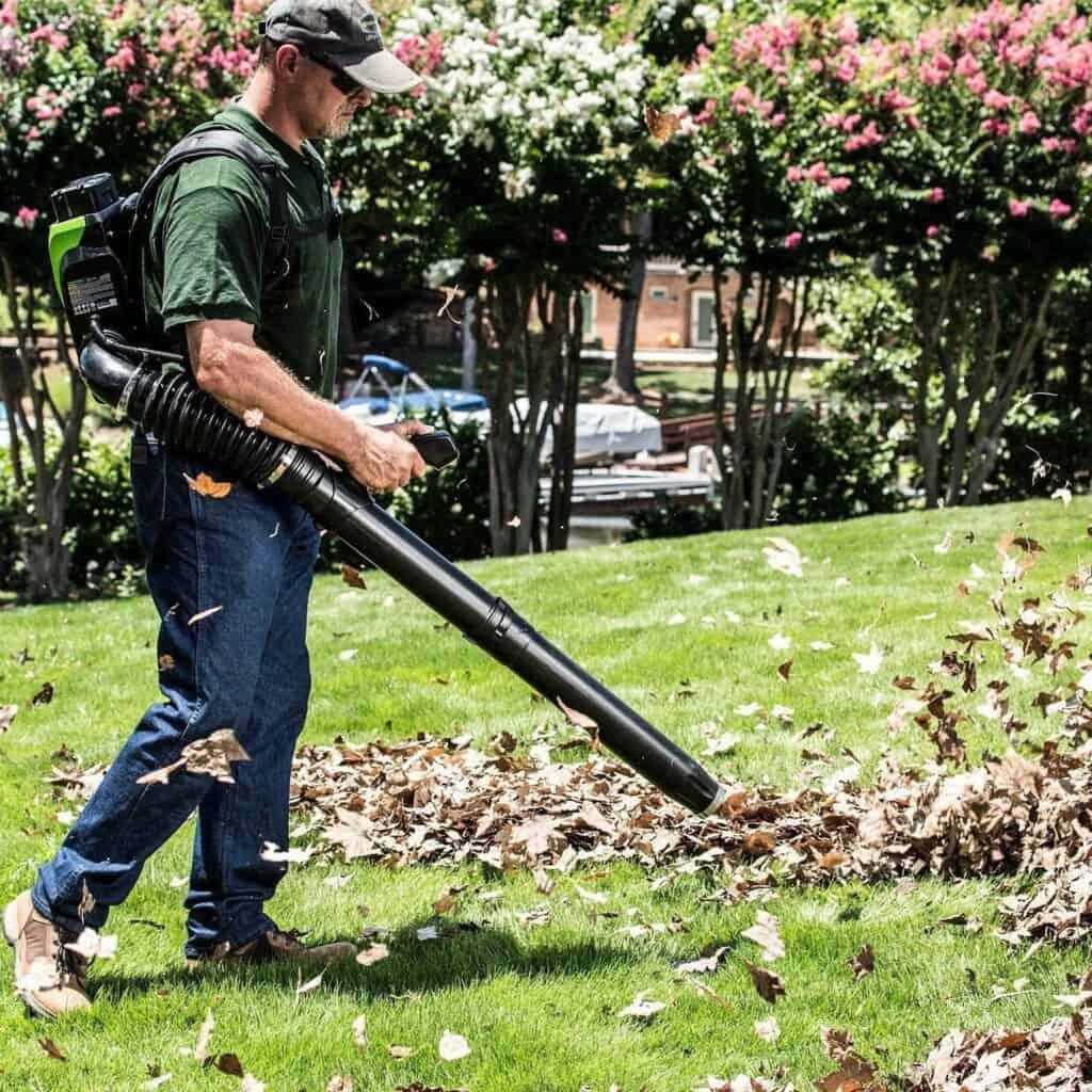what is the best leaf blower