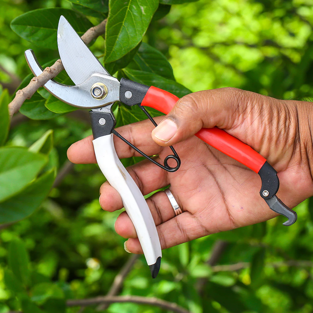 pruning shears test in hand
