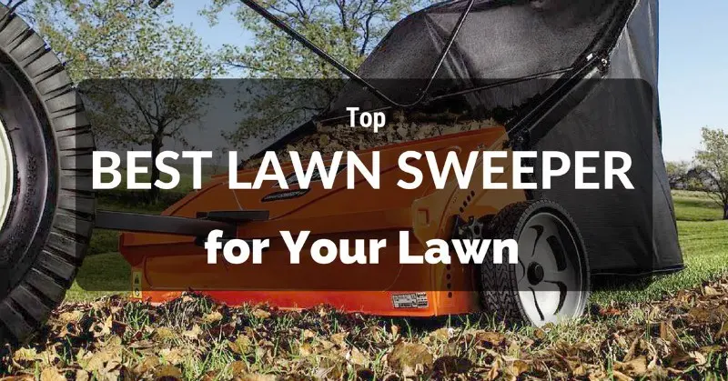 Top Lawn Sweepers for Acorn Removal