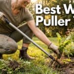 Best Weed Puller Tool