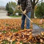 Person raking fallen leaves in yard with leaf rake tools.