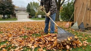 Person raking fallen leaves in yard with leaf rake tools.
